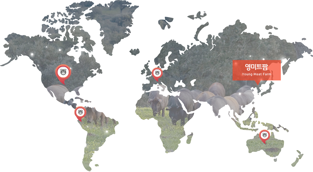 ����Ʈ���� �����ϴ� ��ü�� �����ִ� ��������