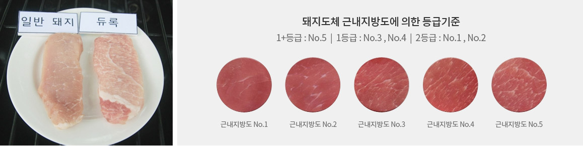 ���� �ٳ����浵 NO.1 ���